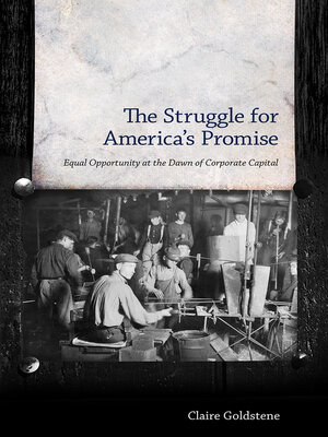 cover image of The Struggle for America's Promise